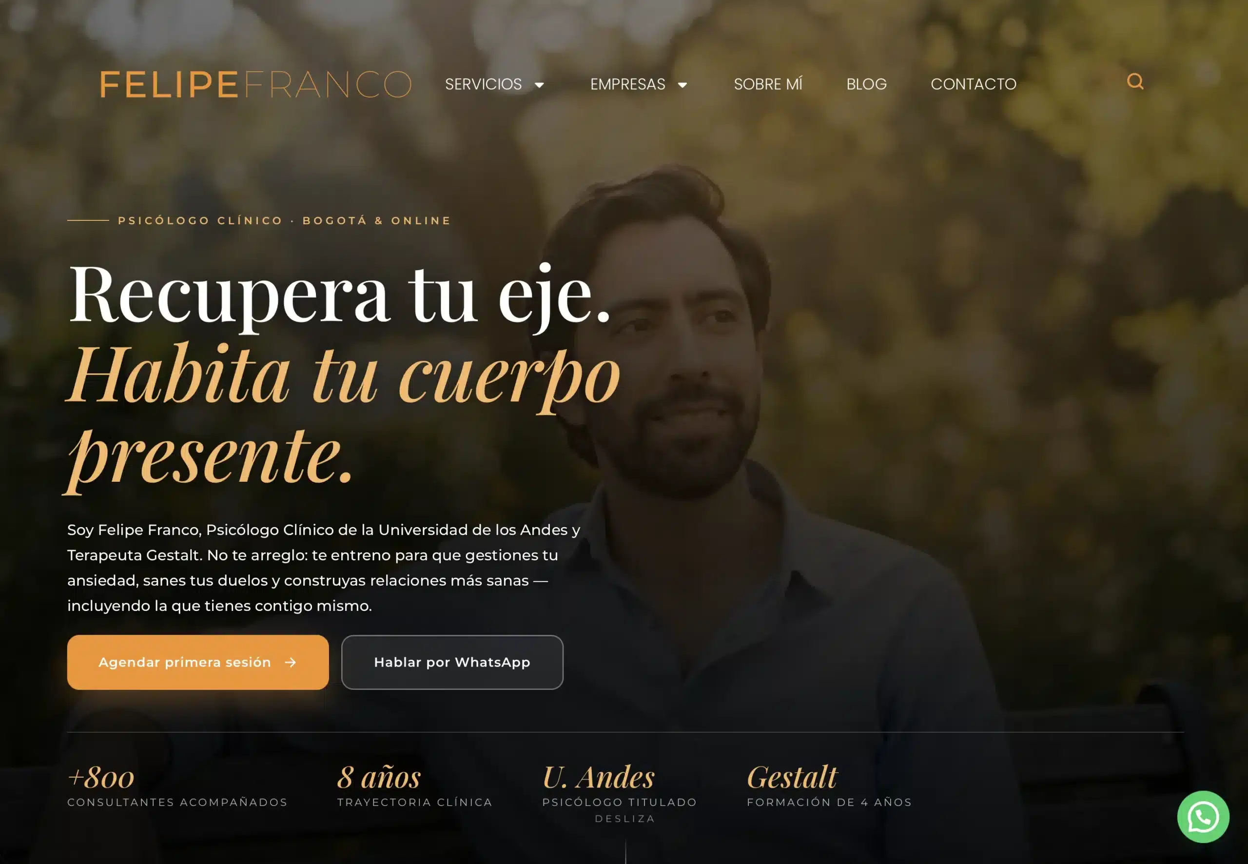 Web Felipe Franco